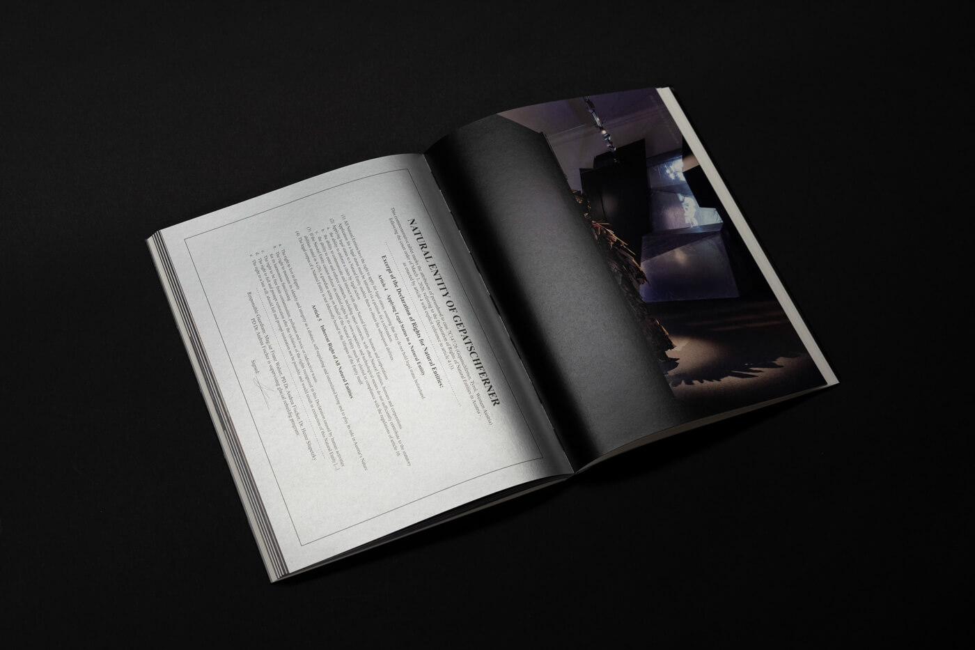 lRestitution of a Glacier